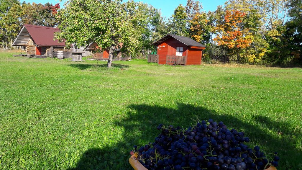Ansumardi Farmstay Kavandi Экстерьер фото